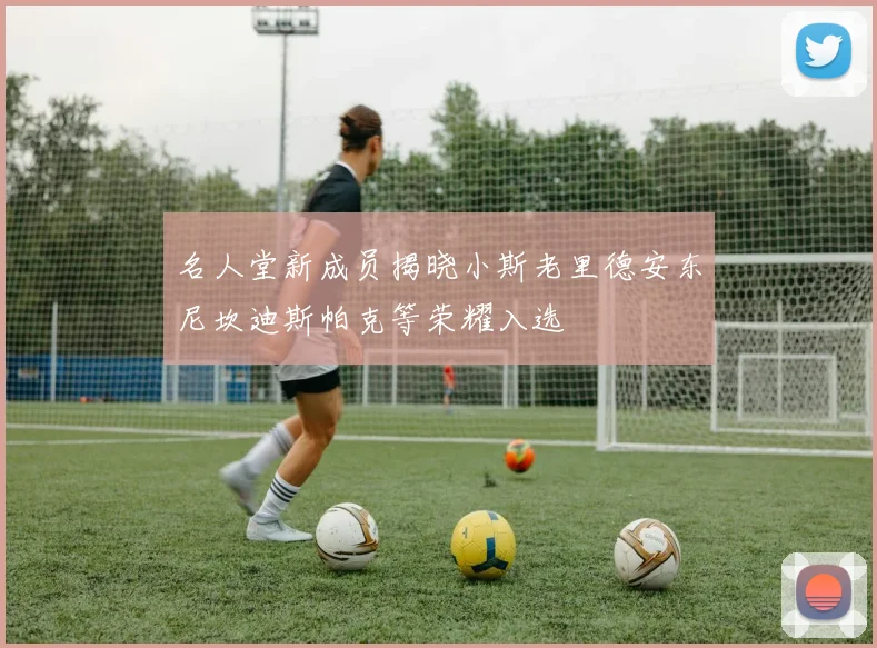 名人堂新成员揭晓小斯老里德安东尼坎迪斯帕克等荣耀入选