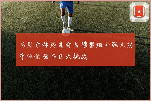 戈贝尔称约基奇与穆雷组合强大防守他们面临巨大挑战