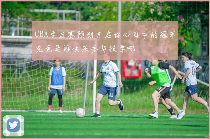 CBA季后赛预测开启你心目中的冠军究竟是谁快来参与投票吧